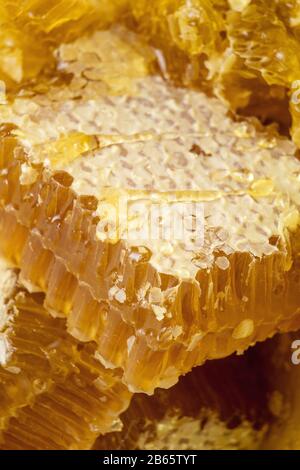 Köstliches und exquisites Fabencloseup-Makro mit flachem Freiheitsgrad Stockfoto