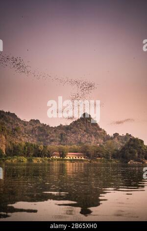 Fledermäuse fliegen über den Fluss Abouth, Myanmar, Asien. Stockfoto