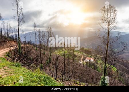 Naturkatastrophen nach Bränden im portugiesischen Wald von Monchique, Brandgefahr in Häusern Stockfoto