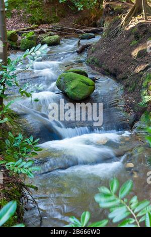 Ein Felsbrocken im Maspie Burn im Falkland Estate, Fife, Schottland. Stockfoto