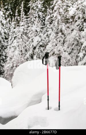 Wanderstöcke im Winter in einem verschneiten Wald und in Bergen Stockfoto