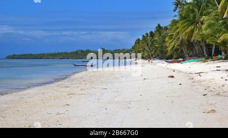 Coral Cay Beach auf Siquijor Island, Philippinen Stockfoto