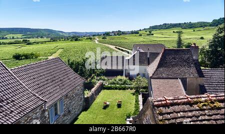 Europa, Frankreich, Bourgogne-Franche-Comté, Departement, Schloss von Chamirey in Mercurey, Blick auf den Weinberg der Burg von der Außenanlage Stockfoto
