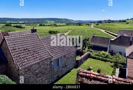 Europa, Frankreich, Bourgogne-Franche-Comté, Departement, Schloss von Chamirey in Mercurey, Blick auf den Weinberg der Burg von der Außenanlage Stockfoto