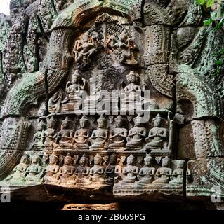 TA Prohm ist der moderne Name dessen, was ursprünglich Rajavihar hieß. Ta Prohm, erbaut im Bayon-Stil im späten 12. Jahrhundert, wurde als buddhistisches Kloster und Universität gegründet. Im Gegensatz zu den meisten renovierten Angkor Tempeln ist Ta Prohm in fast demselben Zustand geblieben, in dem er gefunden wurde - die Wurzeln und Bäume sind so zu einem Teil der Strukturen geworden, dass, wenn sie entfernt werden, die Strukturen ihre Integrität verlieren würden. Stockfoto