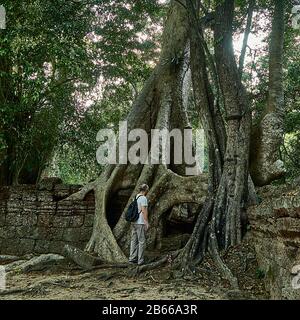 TA Prohm, heute von hoch aufragenden Bäumen aus dem umliegenden Wald überrannt, war ein alter buddhistischer Tempel und Wallfahrtsort, der auch heute noch von buddhistischen Monstern als solcher angesehen wird, selbst unter dem gesamten Tourismus Angkor Wat. Stockfoto