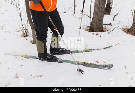 Langlauf im Winterwald. Nahaufnahme von Schuhen und modernen Kunststoffskiis. Stockfoto