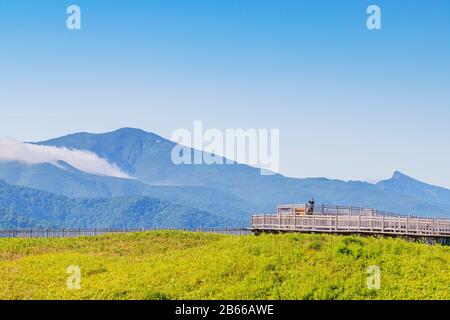 Japan, Hokkaido, Shiretoko-Nationalpark, Gehweg an den Goko 5-Seen Stockfoto