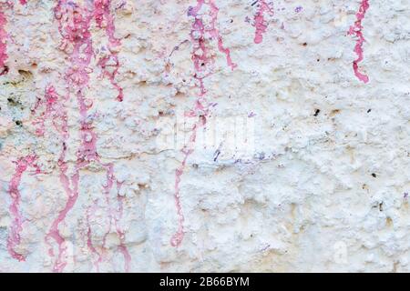 Nahaufnahme einer in Weiß gemalten, rauen und verputzten Stuckwand. Tropfen und Flecken pinkfarbener Farbe. Hochauflösender, strukturierter Hintergrund mit Vollformatsdesign. Stockfoto