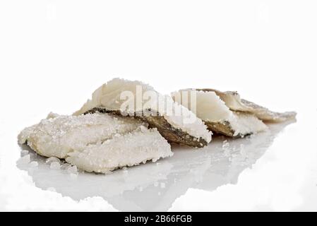 Merluzzo salato a pezzi in fila vista dal Basso Stockfoto