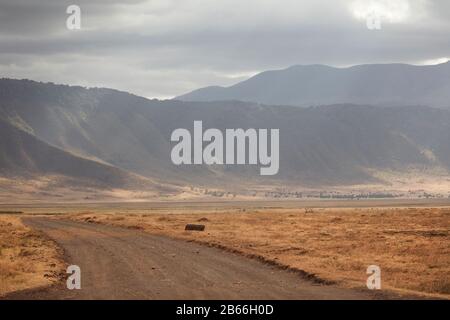 Die Landschaft im Ngorongoro-Krater, Tansania, Afrika. Stockfoto