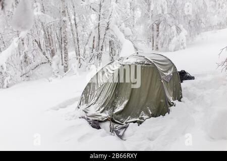 Schneebedecktes Zelt im Wald nach Schneesturm Stockfoto
