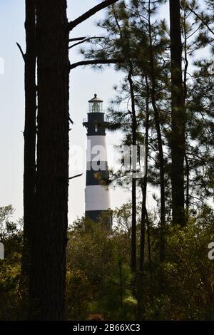 Blick auf den Leuchtturm von Bodie Island durch einen Stand gelber Kiefern am Äußeren Ufer von North Carolina. Stockfoto