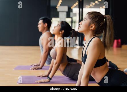 Eine Gruppe asiatischer Fitness-Leute, die Yoga mit nach oben gerichteter Hundehaltung auf Matten im Yoga-Studio machen. Junge Frauen und Männer trainieren im Fitnessstudio Stockfoto
