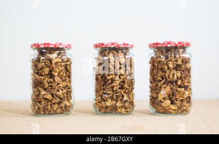 Bereit für den Winter: Getrocknete Champignons in Glas Stockfoto