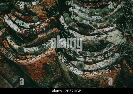 Alt und schmutzig von Moos-Dachziegeln Stockfoto