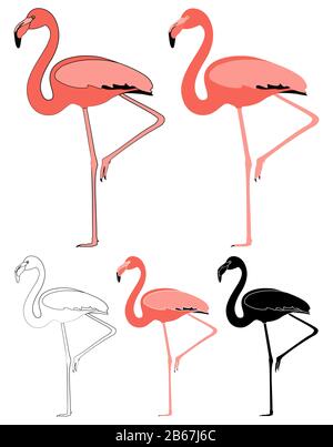 Flamingo-Vogel in der Profilansicht Stock Vektor
