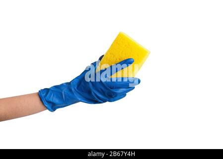 Hand in blauen Handschuh mit Schwamm isoliert auf weißem Hintergrund. Das Konzept der Reinigung und des Waschens Stockfoto