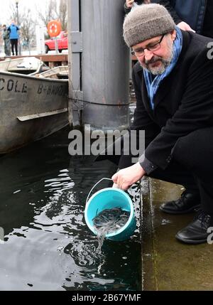 Potsdam, Deutschland. März 2020. Axel Vogel (Bündnis 90/die Grünen), Brandenburger Minister für Landwirtschaft, Umwelt und Klimaschutz, fällt von der Jungaale in der Havel im Potsdamer Hafen ab. Die Bevorratung der Havelgewässer mit insgesamt 300.000 jungen Aalen ist Teil eines langfristigen Pilotprojekts zur Koordination der Aalbestockungsmaßnahmen im Land Brandenburg. Kredit: Soeren Stache / dpa-Zentralbild / ZB / dpa / Alamy Live News Stockfoto