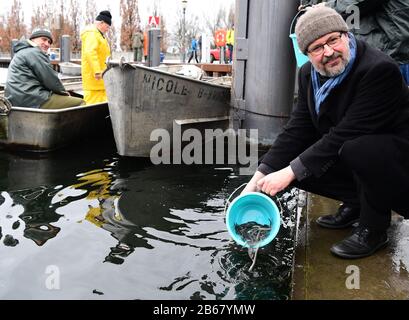 10. März 2020, Brandenburg, Potsdam: Axel Vogel (r, Bündnis 90/die Grünen), Brandenburger Minister für Landwirtschaft, Umwelt und Klimaschutz, legt Jungaale in der Havel im Potsdamer Hafen an. Die Bevorratung der Havelgewässer mit insgesamt 300.000 jungen Aalen ist Teil eines langfristigen Pilotprojekts zur Koordination der Aalbestockungsmaßnahmen im Land Brandenburg. Foto: Soeren Stache / dpa-Zentralbild / ZB Stockfoto