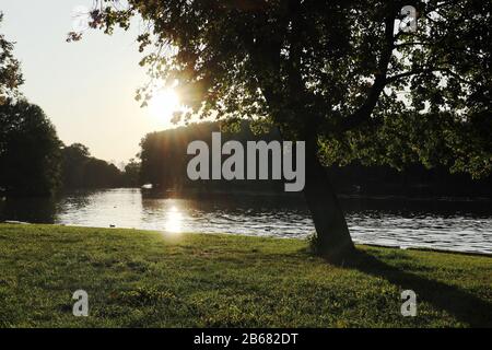 Stadtpark in Minsk Weißrussland bei Sonnenuntergang. Baum am Flussufer mit grünem Gras, Sonnenstrahlen, schöner Abendstimmung Stockfoto