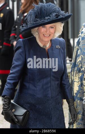 London, Großbritannien. März 2020. Camilla, Duchess of Cornwall, kommt in Westminster Abbey an, um am Commonwealth Day in London, Großbritannien, am 9. März 2020 an dem jährlichen Commonwealth Service in der Westminster Abbey teilzunehmen. Credit: Ray Tang/Xinhua/Alamy Live News Stockfoto