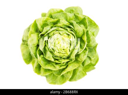 Frischer Salat, isoliert auf weißem Hintergrund Stockfoto