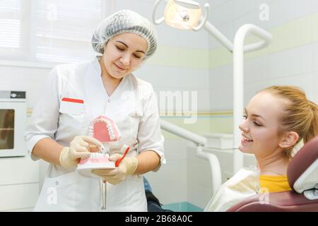 Ein weiblicher Zahnmediziner behandelt die Zähne eines Patienten und erklärt, wie sie ihre Zähne richtig auf einem Kieferhöckup putzen Stockfoto