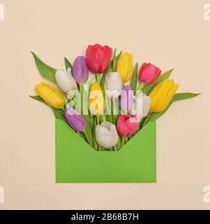 Blumen Und Umschlag Der Tulpen Im Frühling Stockfoto