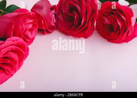 Farbenfroher Blumen-Blumenstrauß mit rosa Blumenrosen auf pinkfarbenem Hintergrund mit Kopierbereich. Rosen Rahmen. Frühling festliche Blumen für Mütter Tag, Valentinstag Stockfoto