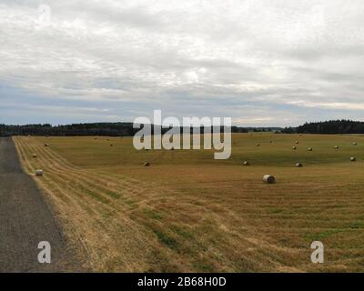 Viele Heuballen auf dem Agrargebiet im Sommer in Litauen Stockfoto
