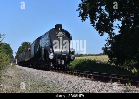 Dampflok Union of South Africa auf der Mid Norfolk Railway im Wyndham im Jahr 2019 Stockfoto