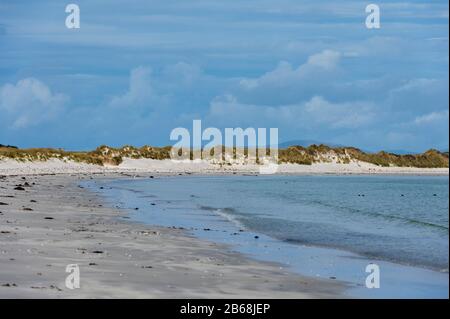 Kieselinsel, Falklandinseln. Stockfoto