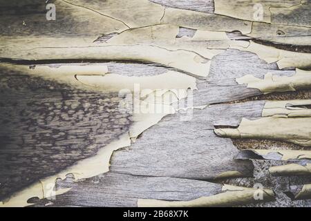 Gerissener und alter Lack über Holz Stockfoto