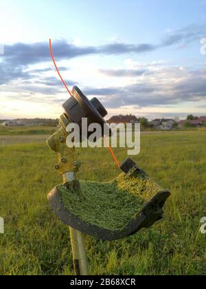 Benziner Rasentrimmer professionelles Gartenwerkzeug auf Maserrasen Stockfoto