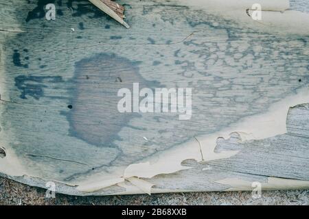 Gerissener und alter Lack über Holz Stockfoto