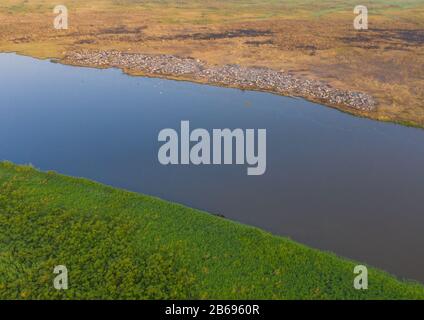 Luftbild der langen Hörnerkühe in einem mundarischen Stammviehlager vor dem Nil, Zentraläquatoria, Terekeka, Südsudan Stockfoto