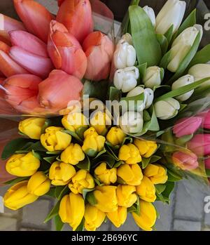 Schöne Blumensträuße von Tulpenblumen auf einem Blumenarkt. Holländische Tulpen in wunderschönem Blumenstrauß. Stockfoto