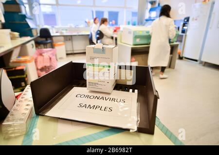 Coronavirus COVID-19-Proben von Patienten sitzen in einem Tablett, während Labortechniker im mikrobiologischen Labor im Specialist Virology Center am University Hospital of Wales in Cardiff einen Diagnosetest für Coronavirus durchführen. Stockfoto