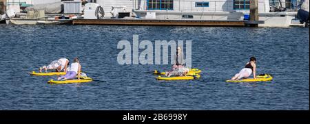 Yoga-Klasse auf Surfbrettern im Hafen von Marina del Rey Stockfoto