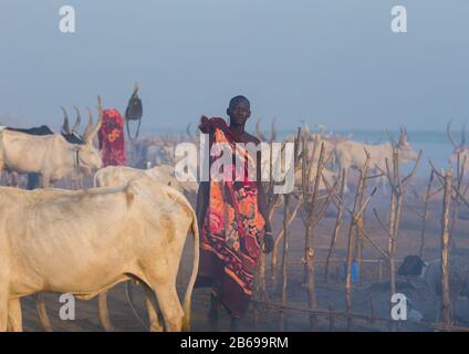 Mundari Stammmann in einem Viehlager, Central Equatoria, Terekeka, Südsudan Stockfoto