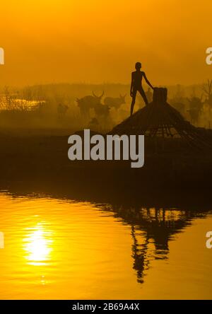 Stammjunge aus Mundari inmitten langer Hörnerkühe in einem Viehlager bei Sonnenuntergang, Central Equatoria, Terekeka, Südsudan Stockfoto