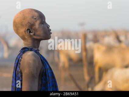 Porträt eines Mundai-Stammjungen, der mit Asche bedeckt ist, um Fliegen und Stechmücken in einem Viehlager, Central Equatoria, Terekeka, Südsudan abzuwehren Stockfoto