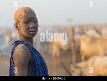 Porträt eines Mundai-Stammjungen, der mit Asche bedeckt ist, um Fliegen und Stechmücken in einem Viehlager, Central Equatoria, Terekeka, Südsudan abzuwehren Stockfoto