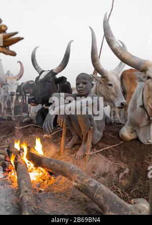 Mundari Stammjunge, der ein Lagerfeuer mit getrockneten Kuhdungs macht, um Fliegen und Stechmücken, Central Equatoria, Terekeka, Südsudan abzuwehren Stockfoto