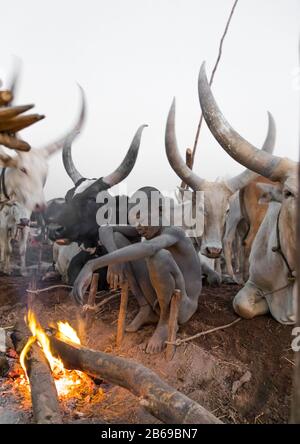 Mundari Stammjunge, der ein Lagerfeuer mit getrockneten Kuhdungs macht, um Fliegen und Stechmücken, Central Equatoria, Terekeka, Südsudan abzuwehren Stockfoto