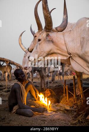 Mundari Stammjunge, der ein Lagerfeuer mit getrockneten Kuhdungs macht, um Fliegen und Stechmücken, Central Equatoria, Terekeka, Südsudan abzuwehren Stockfoto