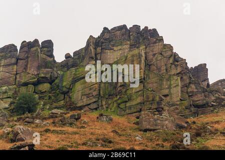 Gritstone reizt an Den Roaches im Peak District National Park Stockfoto