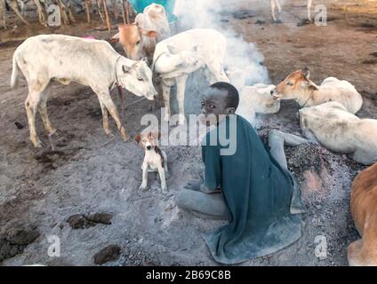 Mundari Stammjunge, der ein Lagerfeuer mit getrockneten Kuhfund macht, um Fliegen und Mücken abzuwehren, Central Equatoria, Terekeka, Südsudan Stockfoto