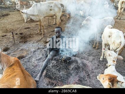 Mundari Stammjunge, der ein Lagerfeuer mit getrockneten Kuhfund macht, um Fliegen und Mücken abzuwehren, Central Equatoria, Terekeka, Südsudan Stockfoto